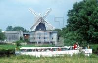 AA01_WilsterAu82_0700.jpg