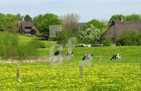 DG11_LandschaftAngeln02_0134.jpg