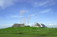 DG15_HamburgerHallig2_0321.jpg