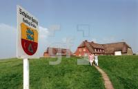 DJ20_Groede01_0136.jpg