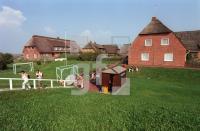 DJ20_Groede02_0147.jpg