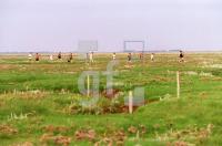 DJ20_Groede08_0156.jpg