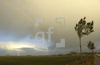 DL28_Wind_0744.jpg