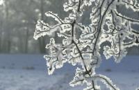EC09_Winter02_0713.jpg