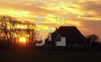 ED13_RoterHaubarg4_0312.jpg
