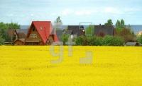 EG16_RapsOsthol_0166.jpg
