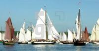 EG31_Rumregatta105_0132.jpg