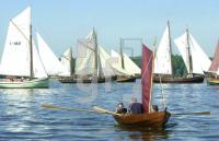 EG31_Rumregatta116_0132.jpg