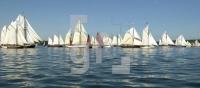 EG31_Rumregatta118_0132.jpg
