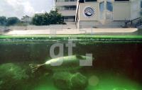 EI29_KielAquarium2_0158.jpg
