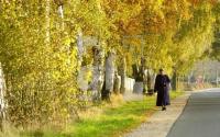 EL29_Herbst30Pinnberg_0121.jpg