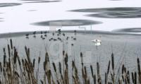 EN23_Wintersee01_0120.jpg