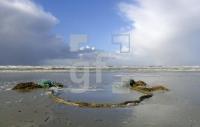 FD09_StPeterOrding22_0107.jpg