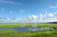 FI24_Nordfriesland04_0127.JPG