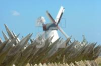 FI29_Dybboel05_0129.JPG