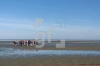 FK09_WattwandernSylt1_0127.jpg