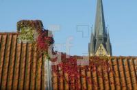 FL01_Suederfischer1_0160.jpg