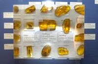 FL06_Museumsberg03_0122.jpg
