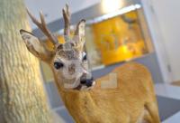 FL06_Museumsberg04_0124.jpg