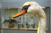 FL06_Museumsberg91_0121.jpg