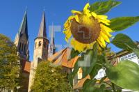 FL10_SchleswigDom1_0137.jpg