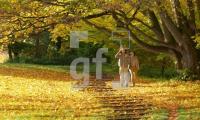 FL27_Herbst03_0130.jpg