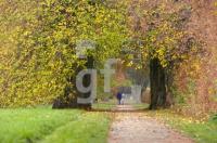 FM11_HerbstStor02_0101.jpg
