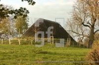 FM11_Jersbek06_0155.jpg
