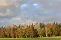 FM13_HerbstLauenburg1_0126.jpg