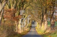 FM13_HerbstStor01_0100.jpg