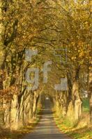 FM13_HorstKastanienallee_0111.jpg