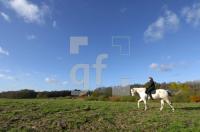 FM13_Reiten1_0188.jpg