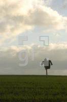 FM13_Vogelscheuche1_0126.jpg