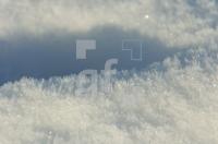 FN29_Schnee01_0188.JPG