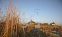 GA99_HamHallig01_1327.jpg