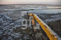 GA99_HamHallig02_1327.jpg