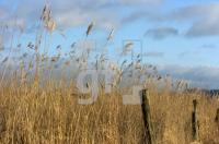 GC24_Schlei_0135.jpg