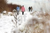 GC28_Winter2_0904.jpg