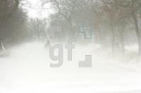 GD23_Schneesturm_0183.jpg