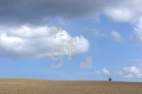 GF09_Scheersberg01_0167.jpg