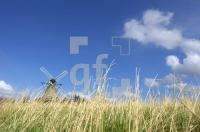GF09_Unewatt02_0145.jpg