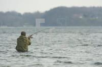 GF12_Angler_0121.jpg