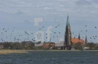 GF18_Schleswig05_0135.jpg