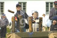 GG08_GottorferLM24_0171.jpg