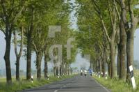 GG26_Allee01_0791.jpg
