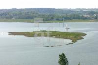 GG26_Moeweninsel_0117.jpg