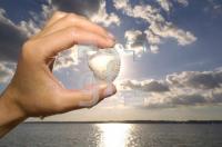 GH25_Sonne09_0139.jpg