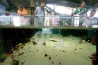 GH27_Aquarium01_0449.jpg