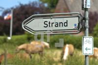 GH31_Strand01_0193.jpg