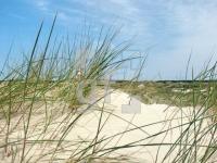 GI01_Amrum09_1327.jpg